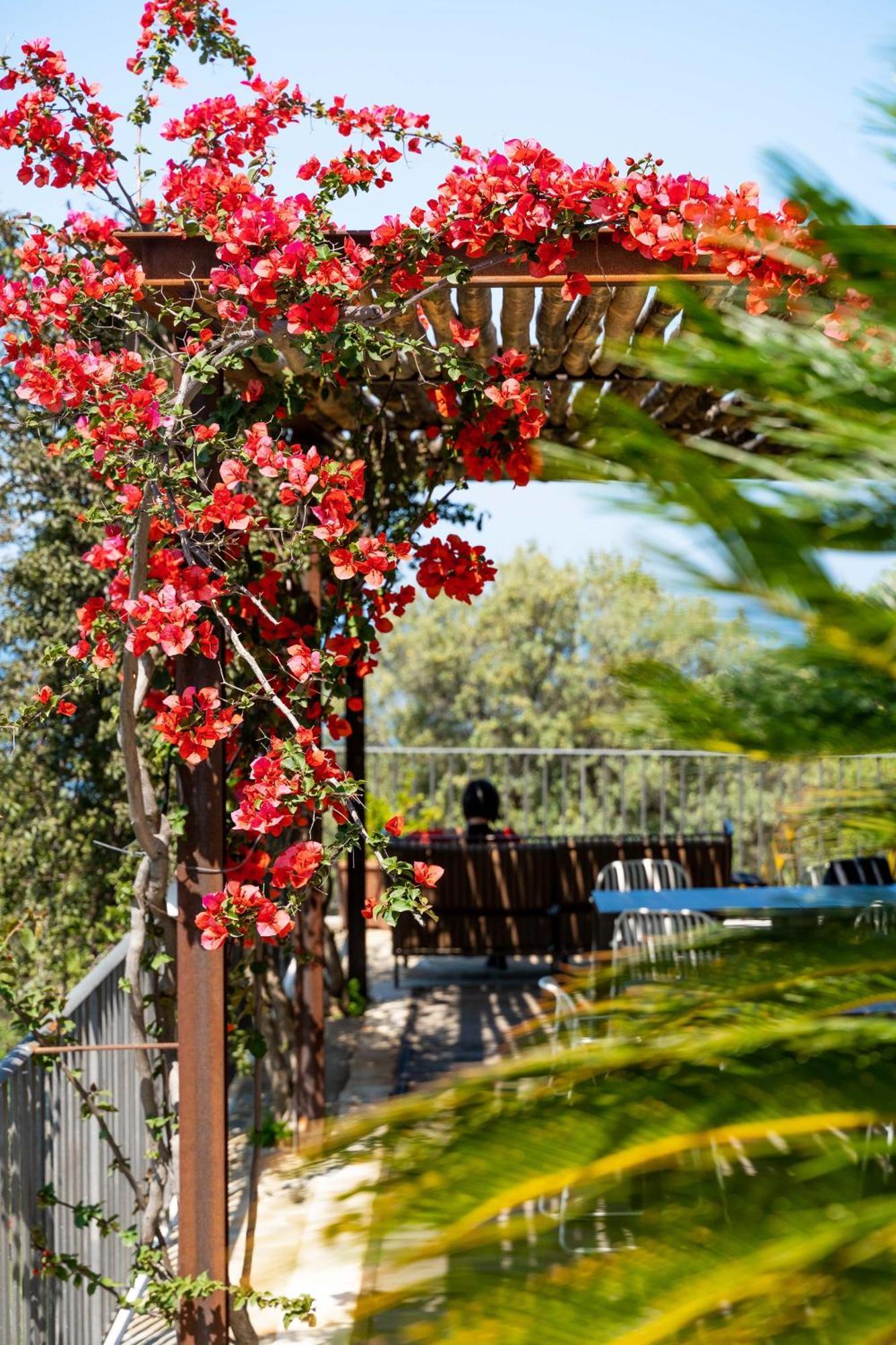 B&B Baia Di Trentova Agropoli Εξωτερικό φωτογραφία