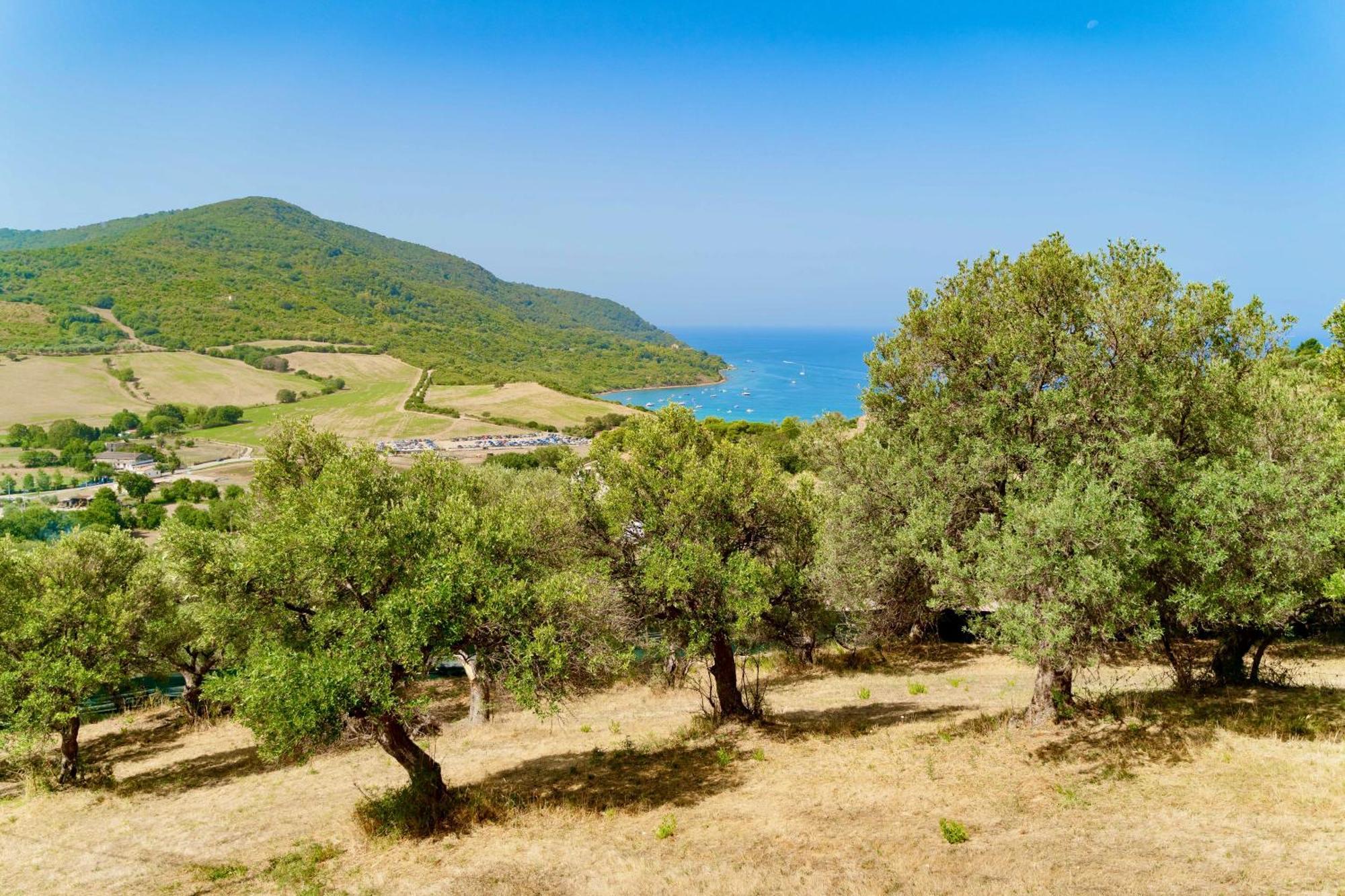 B&B Baia Di Trentova Agropoli Εξωτερικό φωτογραφία